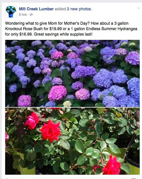 Mother's Day Mill Creek