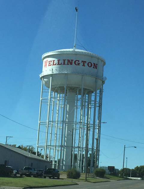 Man was perched on top of the Wellington water tower.
